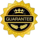 gold-guarantee-removebg-preview